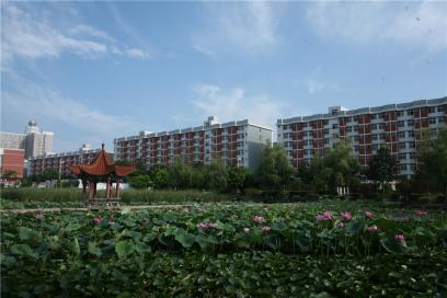 魅力校园